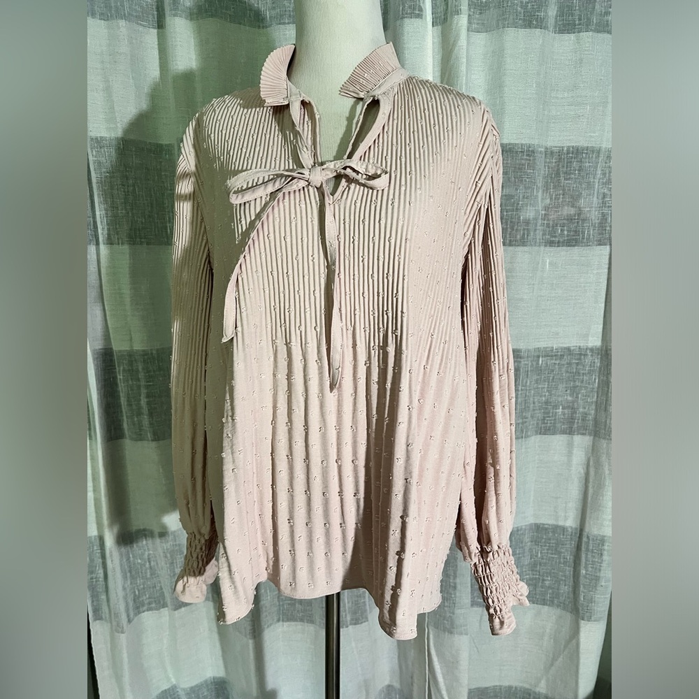 Max Studio Blouse